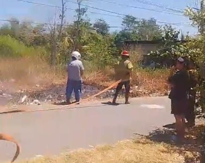 Personel Koramil 1315-01/Telaga Bergerak Cepat Bantu Padamkan Kebakaran Lapangan Sepak Bola Demi Keselamatan Warga Sekitar 39833338-2b25-48e8-444444444444444444444444449c54-c8ce53186735.jpg
