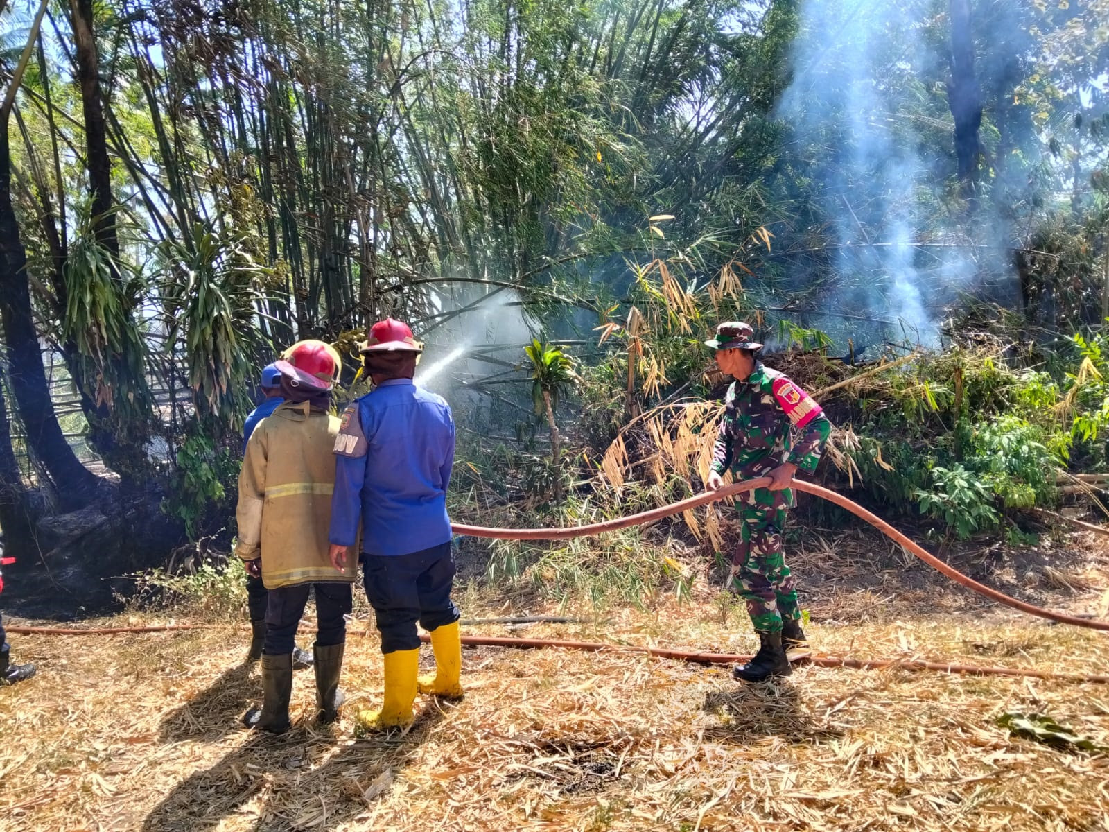 Personel Koramil Tabongo Sigap Bantu Padamkan Kebakaran Rumpun Bambu Pada Dusun II Desa Tabongo Timur ead22155-c3da-4839-b19a-7a6533333333333346d59740.jpg